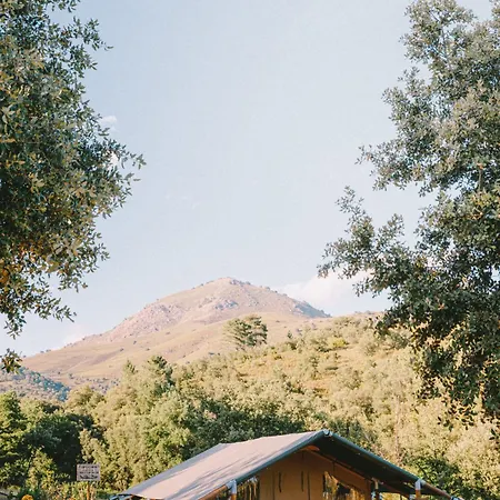 Mercone Corte (Corsica)
