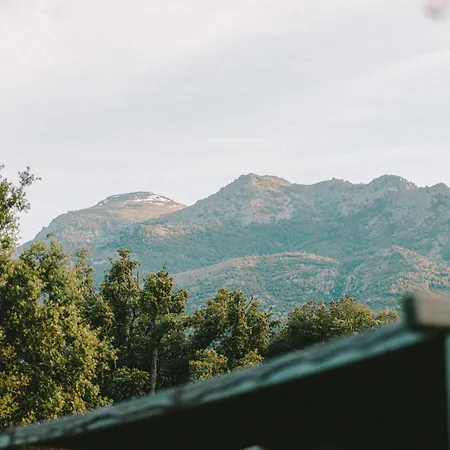 Mercone