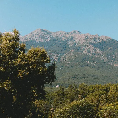 Mercone Kemping Corte